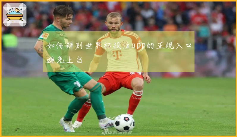 如何辨别世界杯投注app的正规入口避免上当 