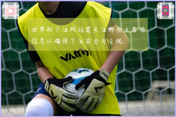 世界杯下注网站需关注哪些主客场信息以确保下注安全与合规