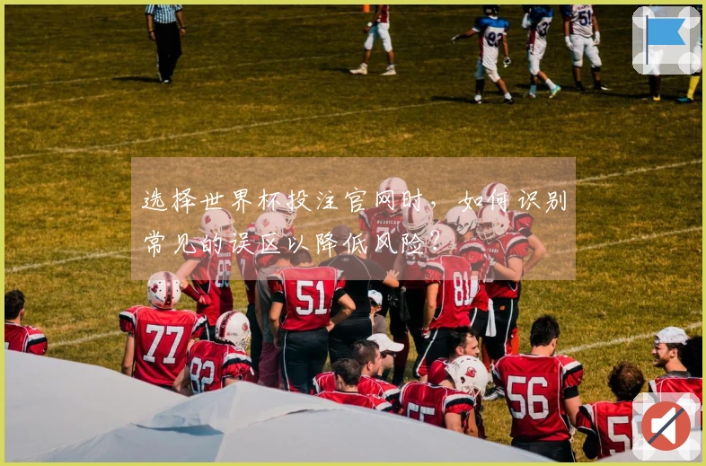选择世界杯投注官网时，如何识别常见的误区以降低风险？
