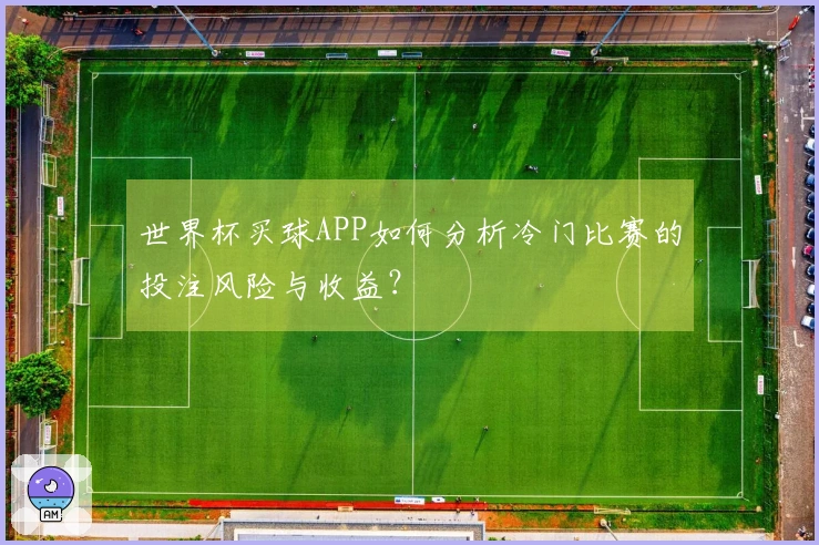 世界杯买球APP如何分析冷门比赛的投注风险与收益？
